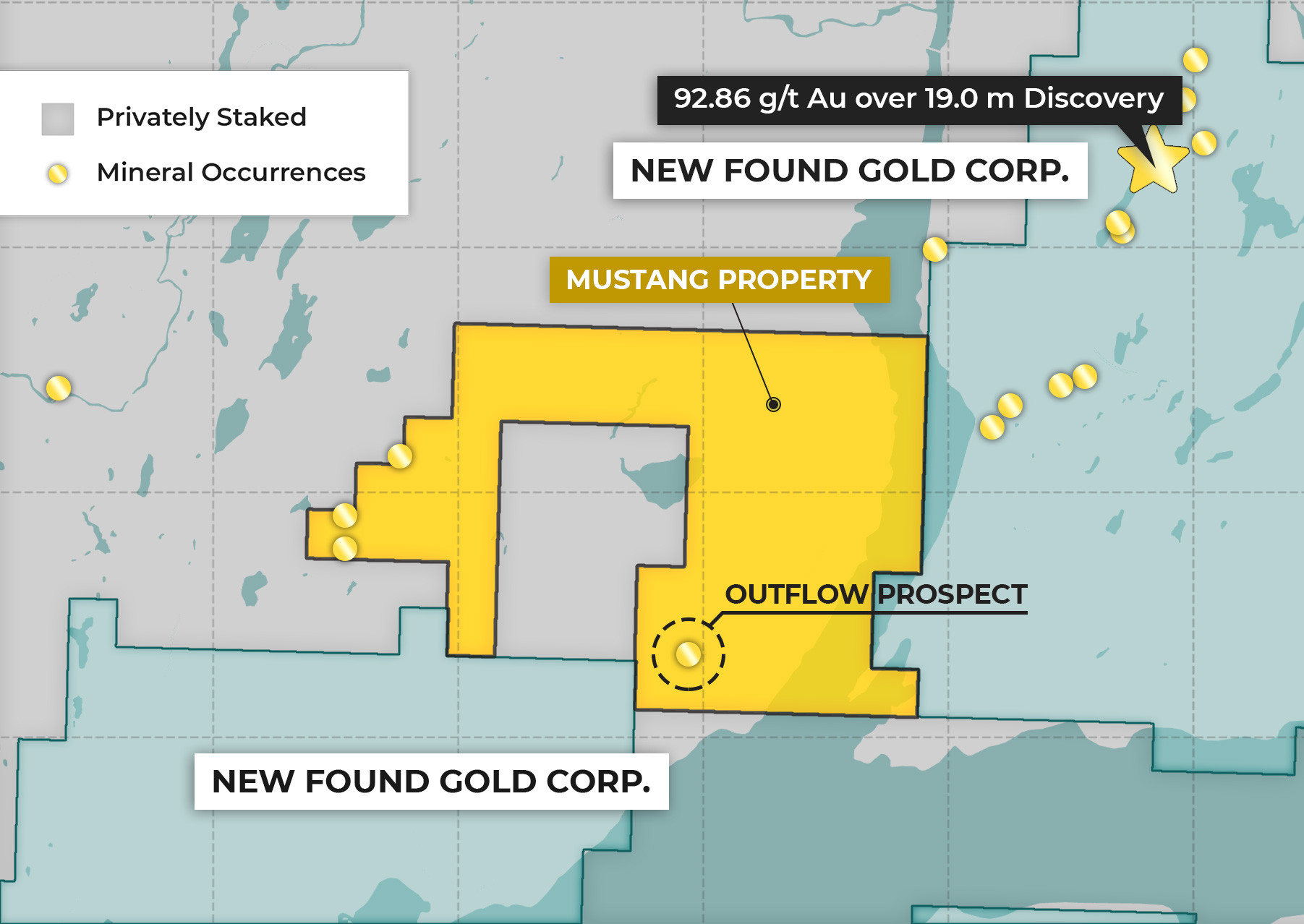 Homepage - New Found Gold Corp.