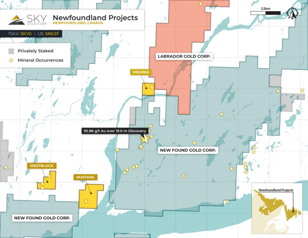 Claims map of Sky Gold's Newfoundland properties